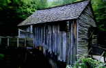 (42) Mill Wheel, Cades Cove, SMNP, Tenn.