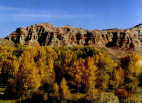 (6) Painted Hills,Dubios,Wyo.