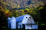 (38) White Barn, Canton, N.C.