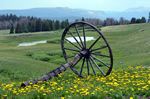 (5a) Yellow Flowers & Wagon Wheel