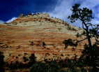 (8) Zion2 National Park, Utah